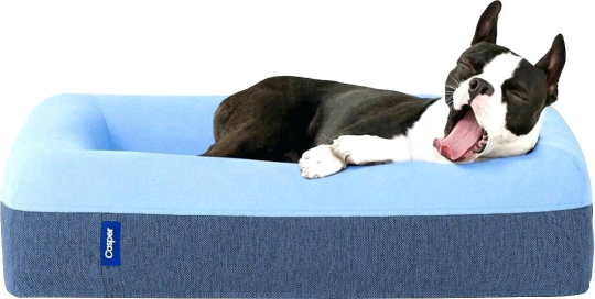 Sinking into the Casper Mattress Story